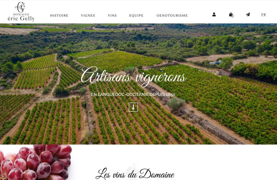 Screenshot site vin gelly
